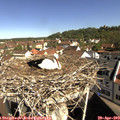 10_00-nest.jpg