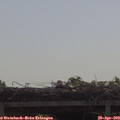 10_05-mast.jpg