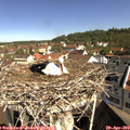 10_10-nest.jpg