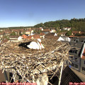 10_15-nest.jpg