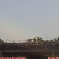 10_35-mast.jpg