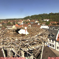 11_40-nest.jpg
