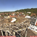 12_15-nest.jpg