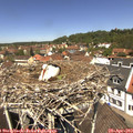 12_20-nest.jpg