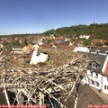 12_25-nest.jpg