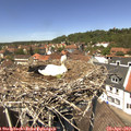 13_15-nest.jpg