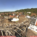 13_25-nest.jpg