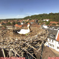 13_40-nest.jpg