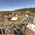 13_55-nest.jpg