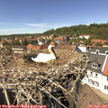 14_05-nest.jpg