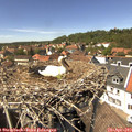 14_15-nest.jpg