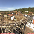 14_20-nest.jpg