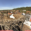 14_30-nest.jpg