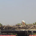14_35-mast.jpg