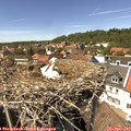 14_35-nest.jpg