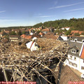 14_40-nest.jpg