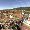 14_45-nest.jpg