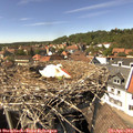 14_55-nest.jpg