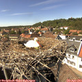 15_00-nest.jpg