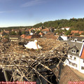 15_10-nest.jpg