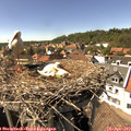 15_30-nest.jpg
