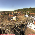15_35-nest.jpg