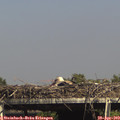 15_40-mast.jpg