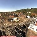 15_40-nest.jpg