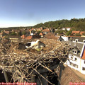15_45-nest.jpg