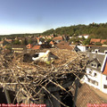 15_50-nest.jpg