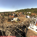 15_55-nest.jpg