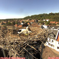 16_00-nest.jpg