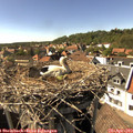 16_05-nest.jpg