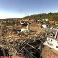 16_15-nest.jpg