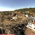 16_20-nest.jpg