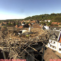 16_25-nest.jpg