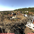 16_35-nest.jpg