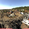16_40-nest.jpg
