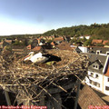 16_45-nest.jpg