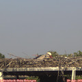 16_50-mast.jpg