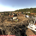 16_55-nest.jpg