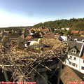 17_00-nest.jpg