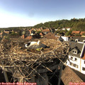 17_05-nest.jpg