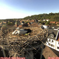 17_20-nest.jpg