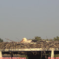18_35-mast.jpg