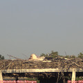 19_05-mast.jpg