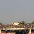 19_10-mast.jpg