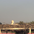 19_40-mast.jpg