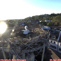 19_40-nest.jpg