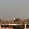 19_45-mast.jpg